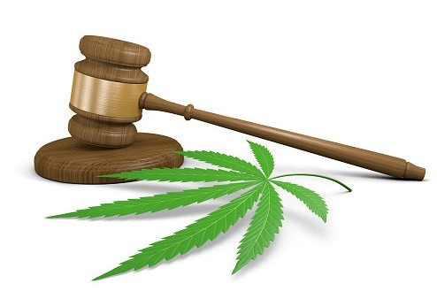 cannabis sales
