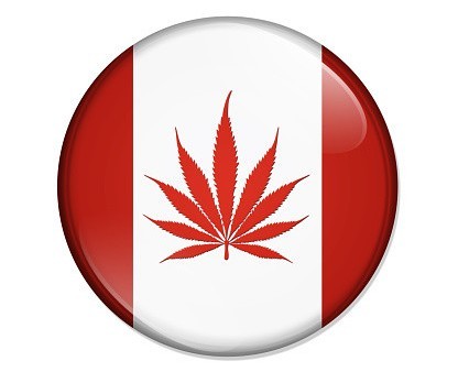 U.S. pot stocks