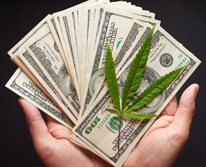 pot stock profits